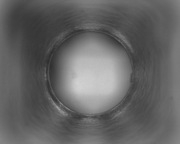 X0000075410633200609081002