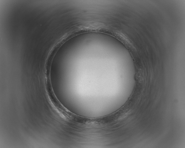 X0000075410634200609081002