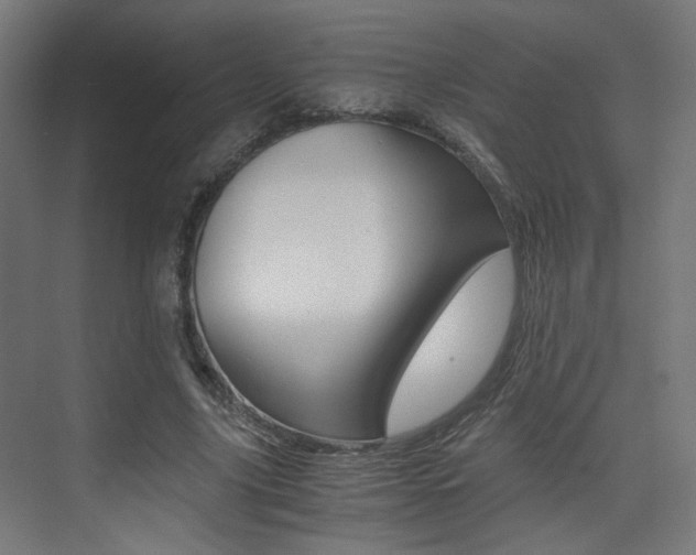 X0000075410635200609081002