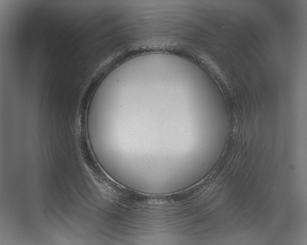 X0000075410636200609081002