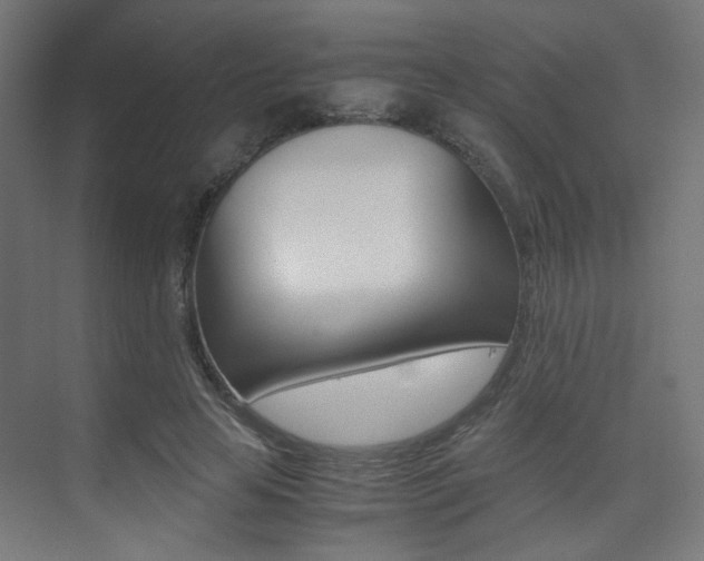 X0000075410641200609081003