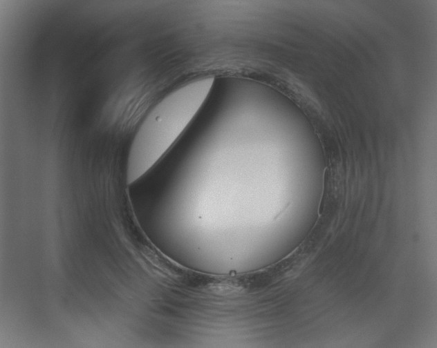 X0000075410644200609081003