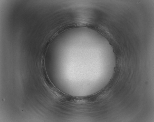 X0000075410645200609081003