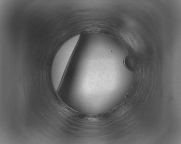 X0000075410649200609081003