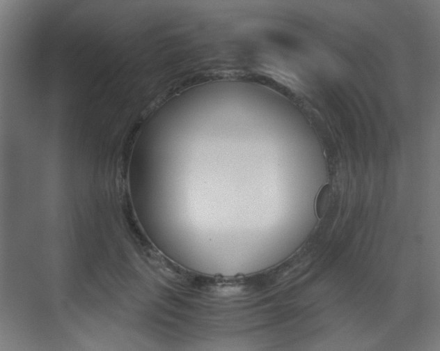 X0000075410651200609081003