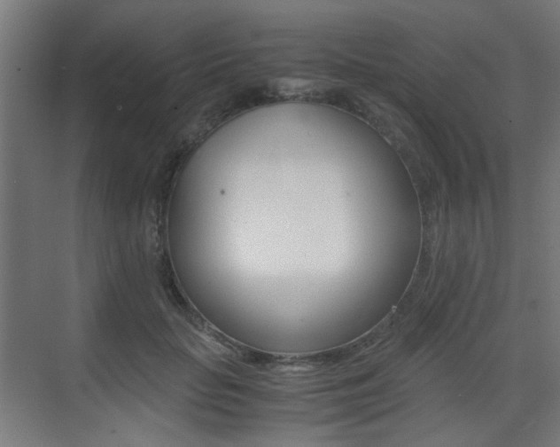 X0000075410653200609081003