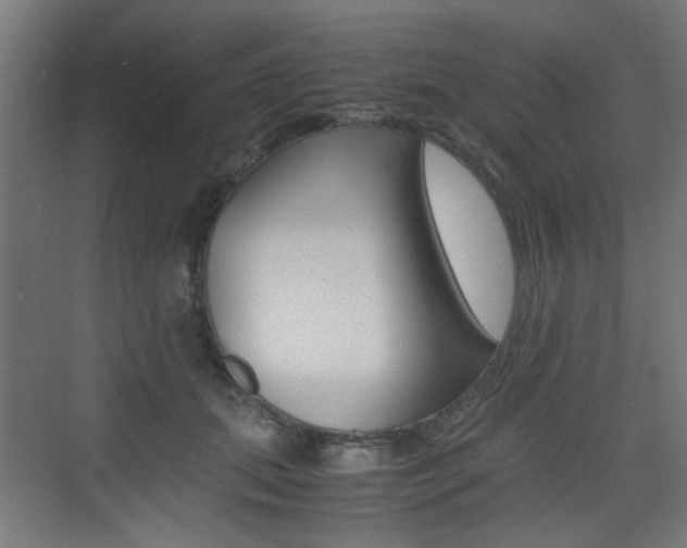 X0000075410655200609081003
