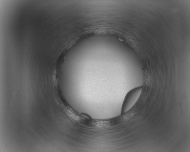 X0000075410670200609081003