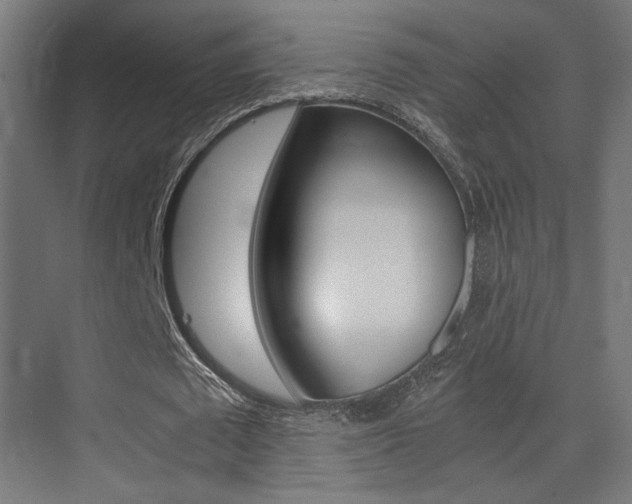 X0000075410673200609081002