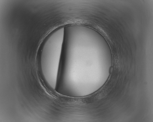 X0000075410674200609081002