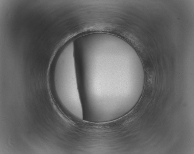 X0000075410678200609081002