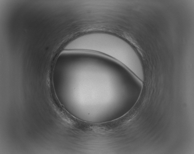 X0000075410681200609081002