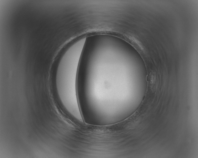 X0000075410684200609081002