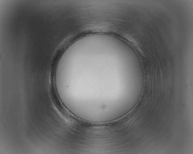 X0000075410686200609081002