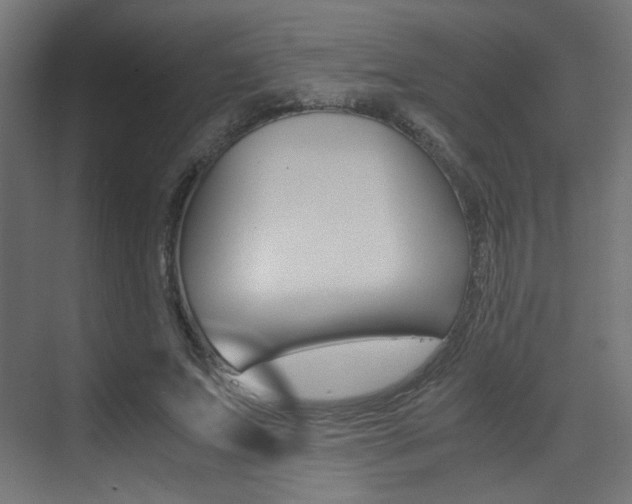 X0000075410687200609081002