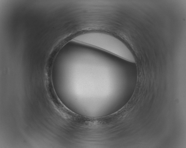 X0000075410688200609081002