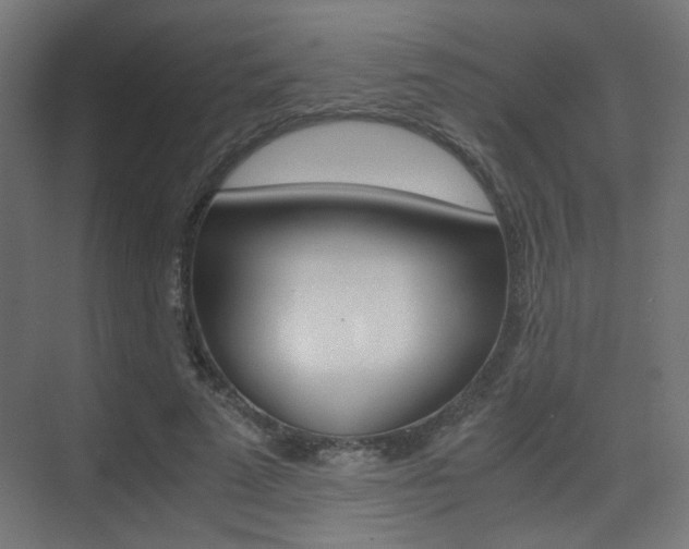 X0000075410689200609081002
