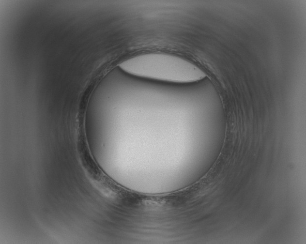 X0000075410690200609081002