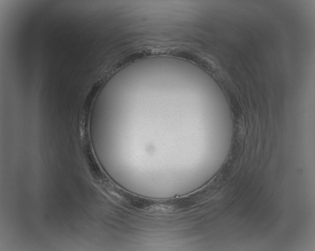 X0000075410691200609081002