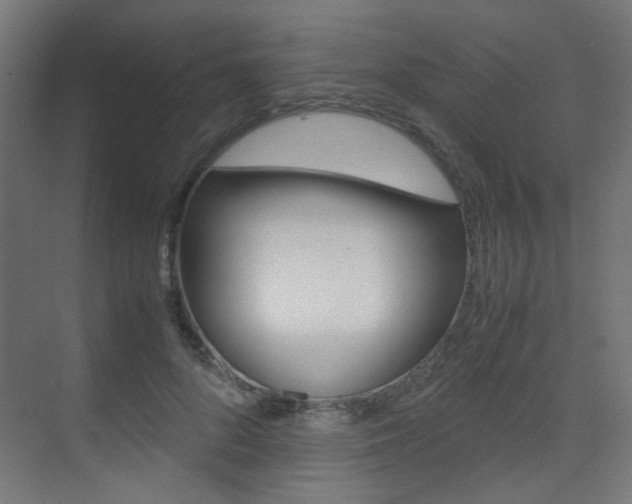 X0000075410696200609081002