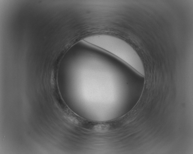 X0000075410700200609081002