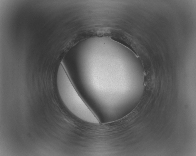 X0000075410704200609081002