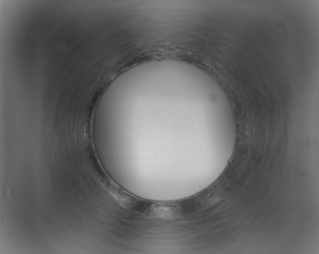 X0000075410706200609081002