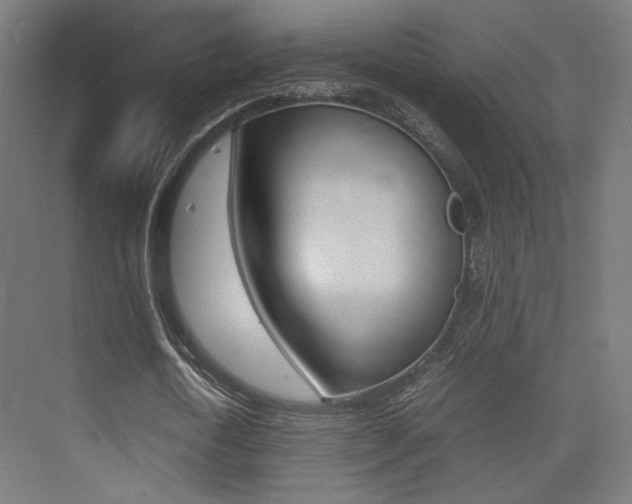 X0000075410722200609081001