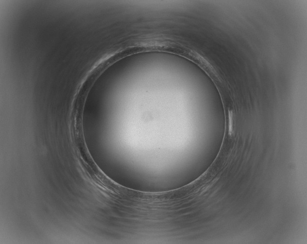 X0000075410723200609081001