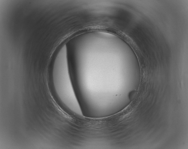 X0000075410725200609081001