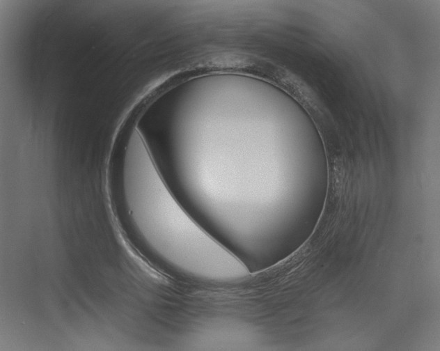 X0000075410726200609081001