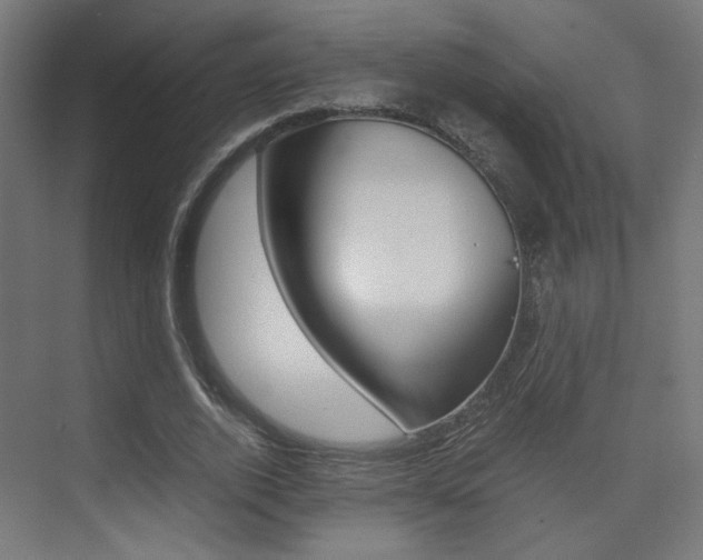 X0000075410728200609081001