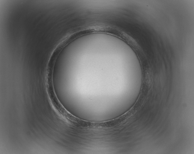 X0000075410730200609081001