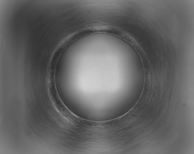 X0000075410732200609081001