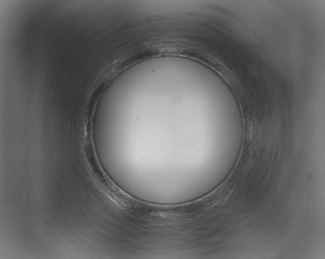 X0000075410733200609081001