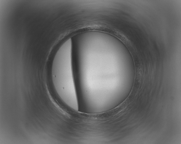 X0000075410734200609081001