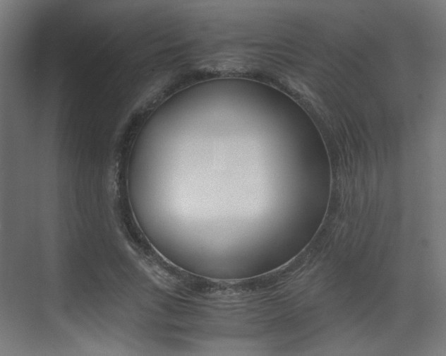 X0000075410735200609081001