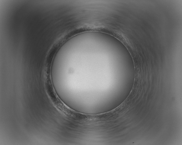 X0000075410736200609081001