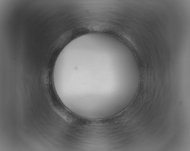 X0000075410738200609081001