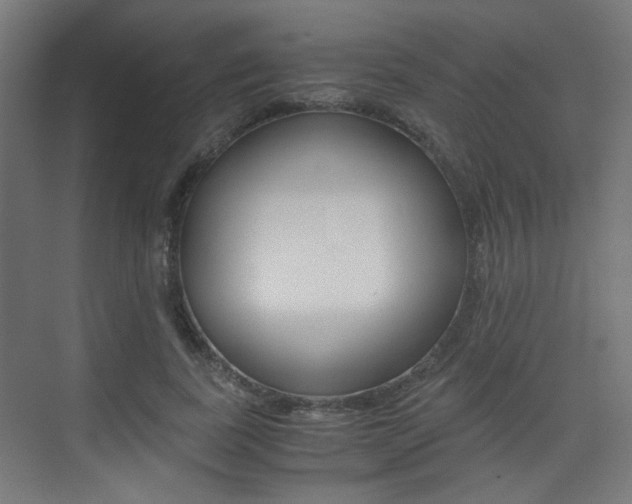 X0000075410739200609081001