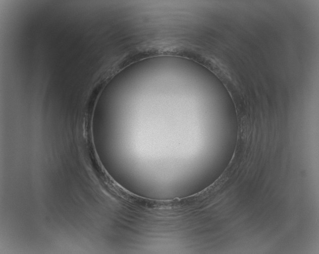 X0000075410740200609081001