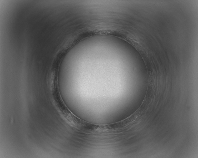 X0000075410742200609081001