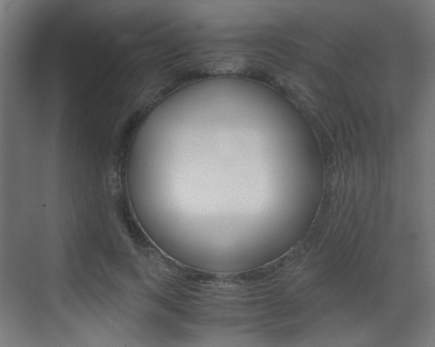 X0000075410743200609081001