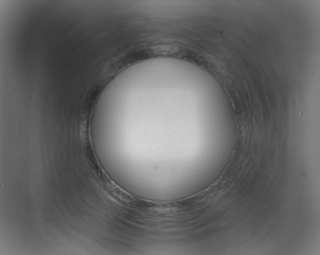 X0000075410745200609081001