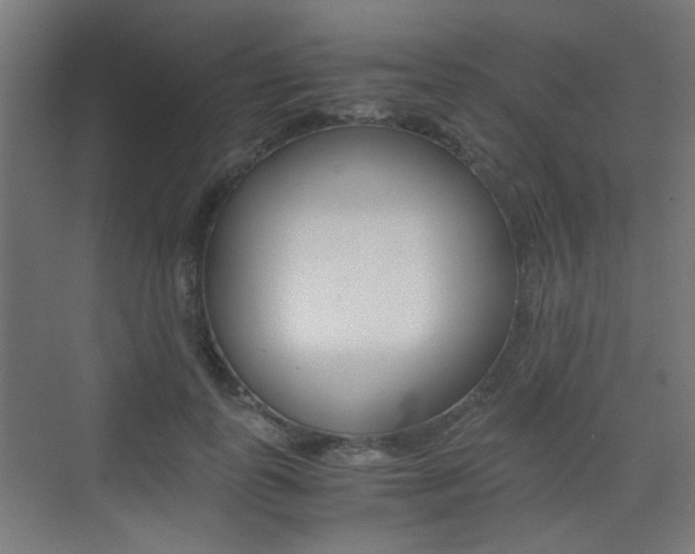 X0000075410747200609081001