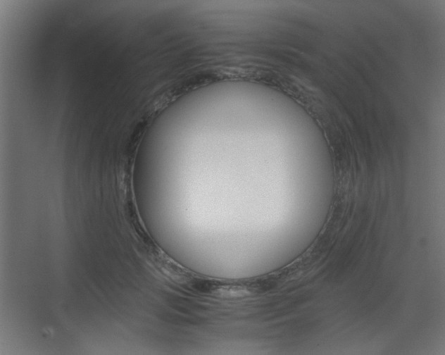 X0000075410749200609081001