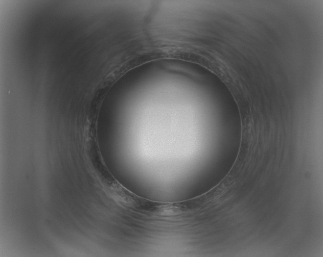 X0000075410750200609081001