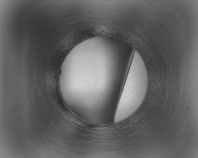 X0000075410751200609081001
