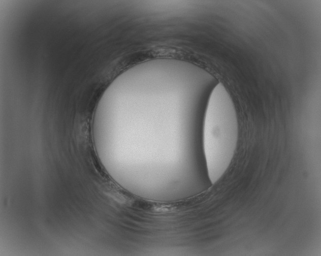 X0000075410753200609081001