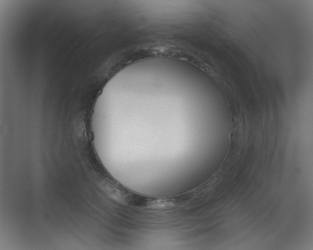 X0000075410754200609081001